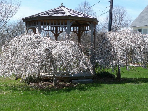 The Whalewalk Inn & Spa image 14