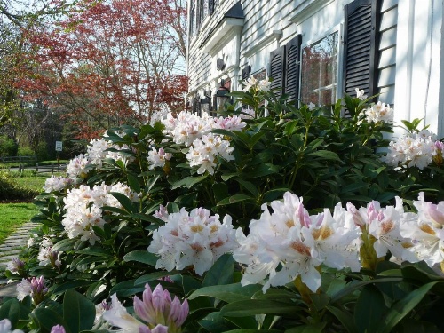 The Whalewalk Inn & Spa image 16