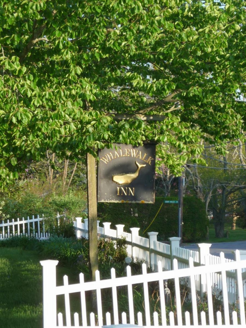 The Whalewalk Inn & Spa Image 34